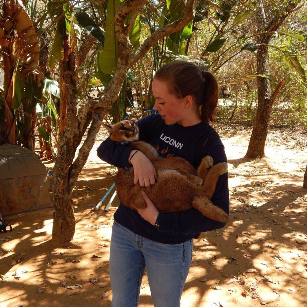 Meet your Posher, Hannah